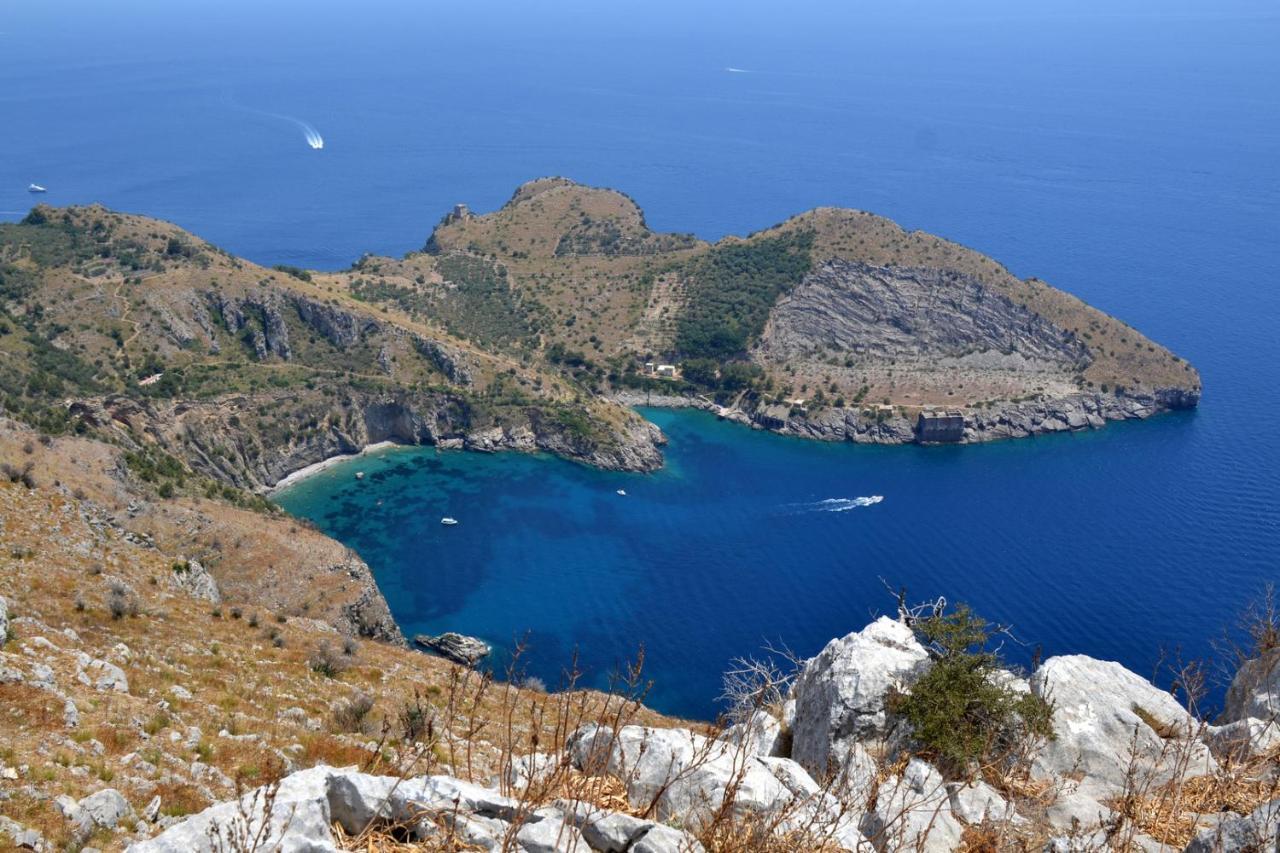 Villa Mariel Suites & Apartment Massa Lubrense Dış mekan fotoğraf